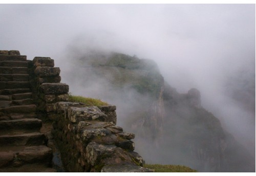 Camino Inca Inca - Month One Back Catalogue